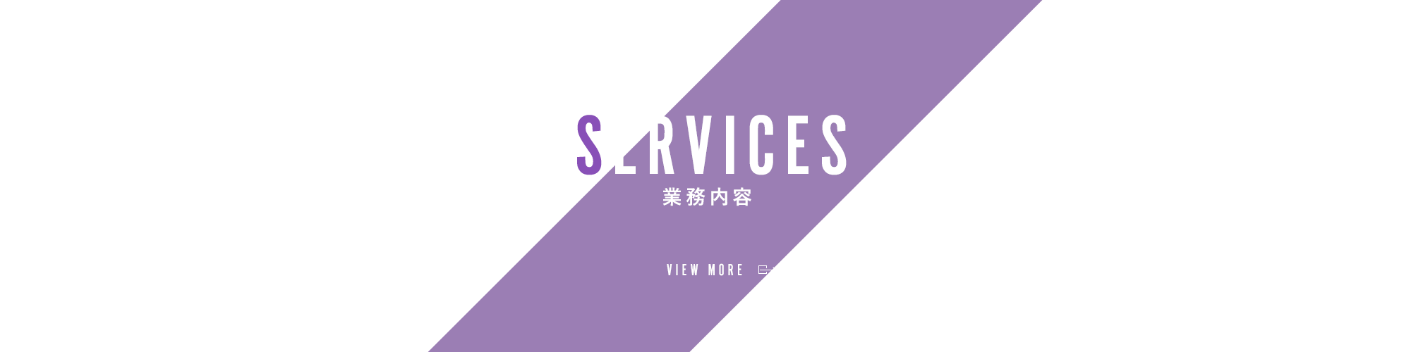 banner_services_txt